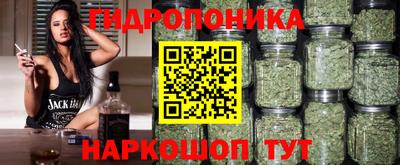 герыч Боровичи