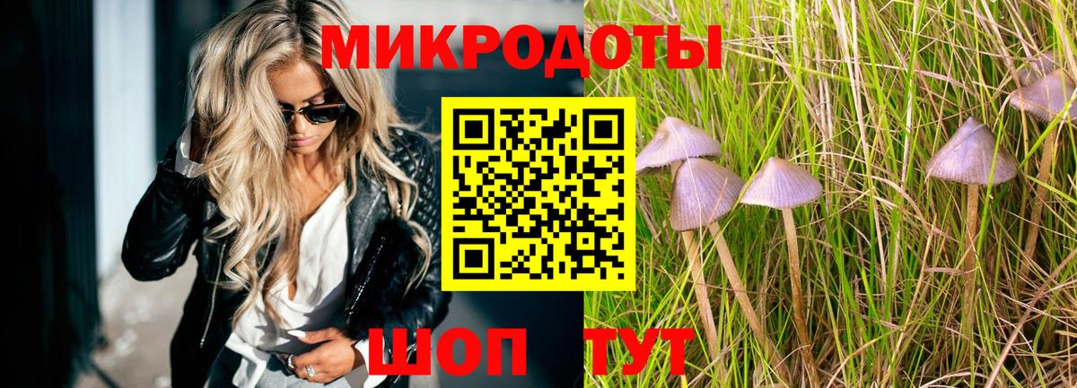 Гулькевичи  Псилоцибиновые грибы Psilocybine cubensis  Галлюциногенные грибы прущие грибы  Вход с VPN 